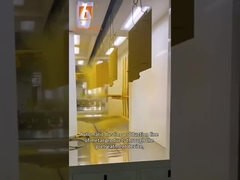 linha de revestimento eletrostática do pó